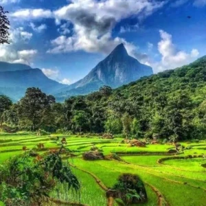 Meemure Archeological Excavation